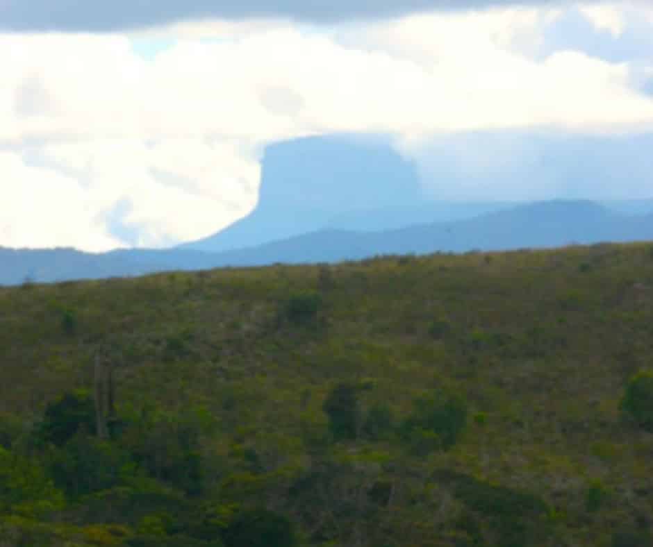 Guyana in South America still has most of its forests and, with the areas of adjacent Venezuela (seen here) and northern Brazil constituting one of the largest remaining blocks of tropical forest. Photo by Stuart L. Pimm