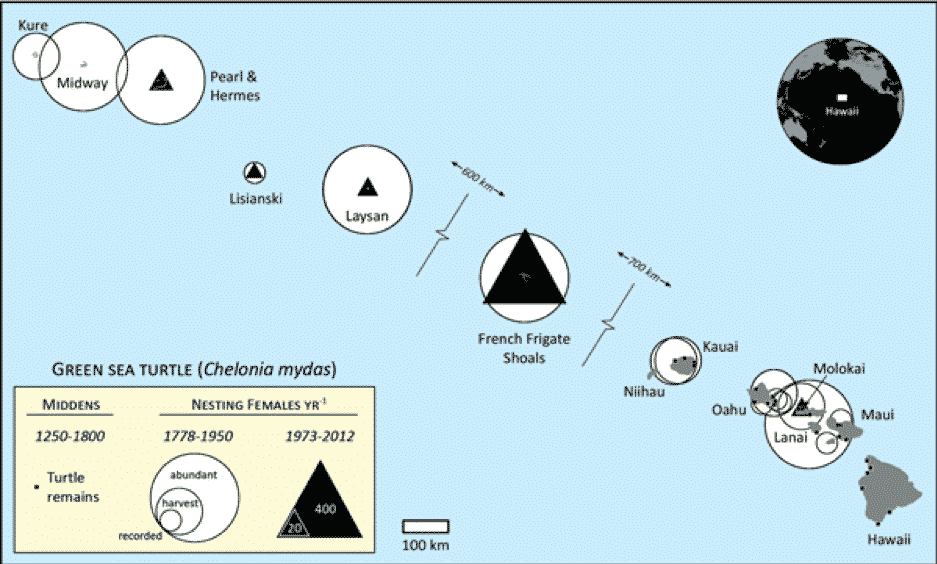 Figure from the paper showing modern and historical data on green turtles.