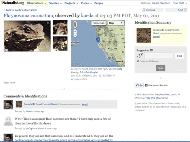 A web page entry from www.iNaturalist.org, showing the record. Courtesy of Scott Loarie.