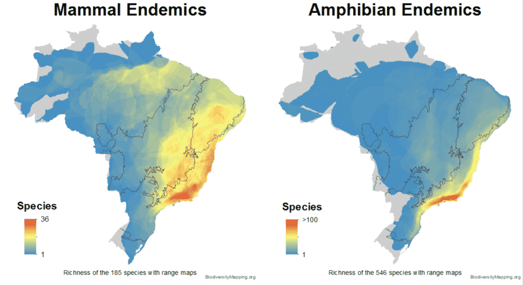 Saving Nature uses maps of endemic species, like these for mammals and amphibians to set conservation priorities. The red on this map denotes the high degree of endemism in the Atlantic Forest of Brazil.