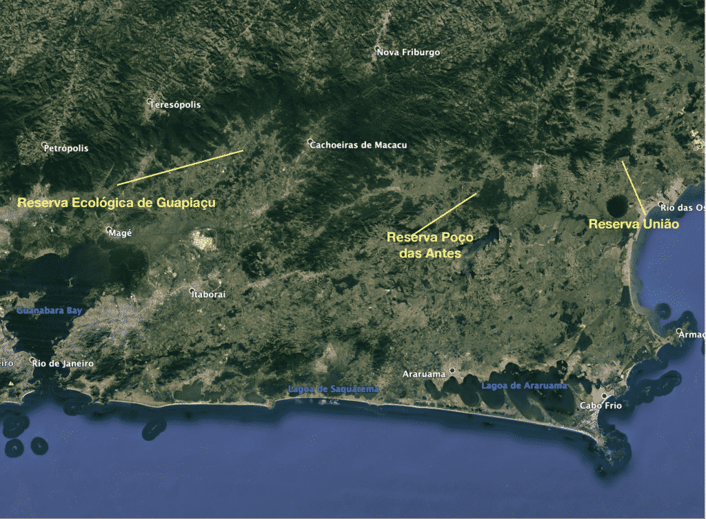 Saving Nature is reconnecting the Atlantic Forest of Brazil.  This satellite image shows the area from the eastern side of the city of Rio de Janeiro, eastwards for about 200 kilometers.   There’s an east to west mountain range that’s still mostly forested and lowlands to the south of it. Little forest remains in the lowlands — its been cleared for crops and cattle pasture.  What’s left is forest fragments of different sizes.   A lot of of science tells us that forest fragments lose species over time — with smaller ones losing more species and losing them faster than do large ones.  This tells us de-fragmenting isolated forests should be a most effective conservation tactic. 