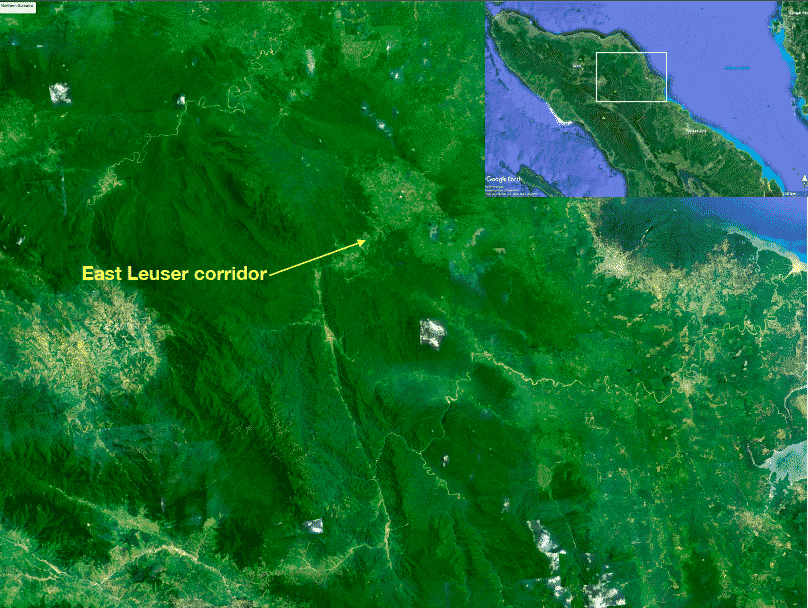 East Leuser Corridor in Sumatra