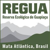 REGUA, Saving Nature's Local Conservation Partner in Brazil