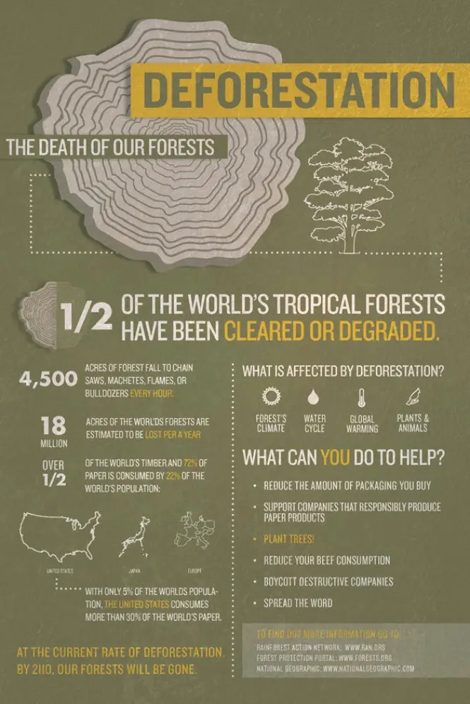 Deforestation Infographic