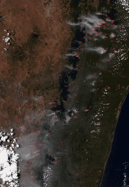 Madagascar fires