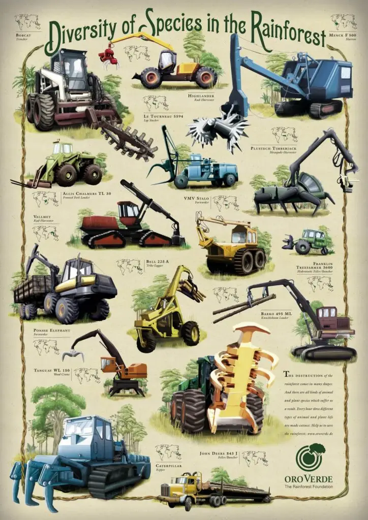 oroverde diversity of species in the rainforest infographic