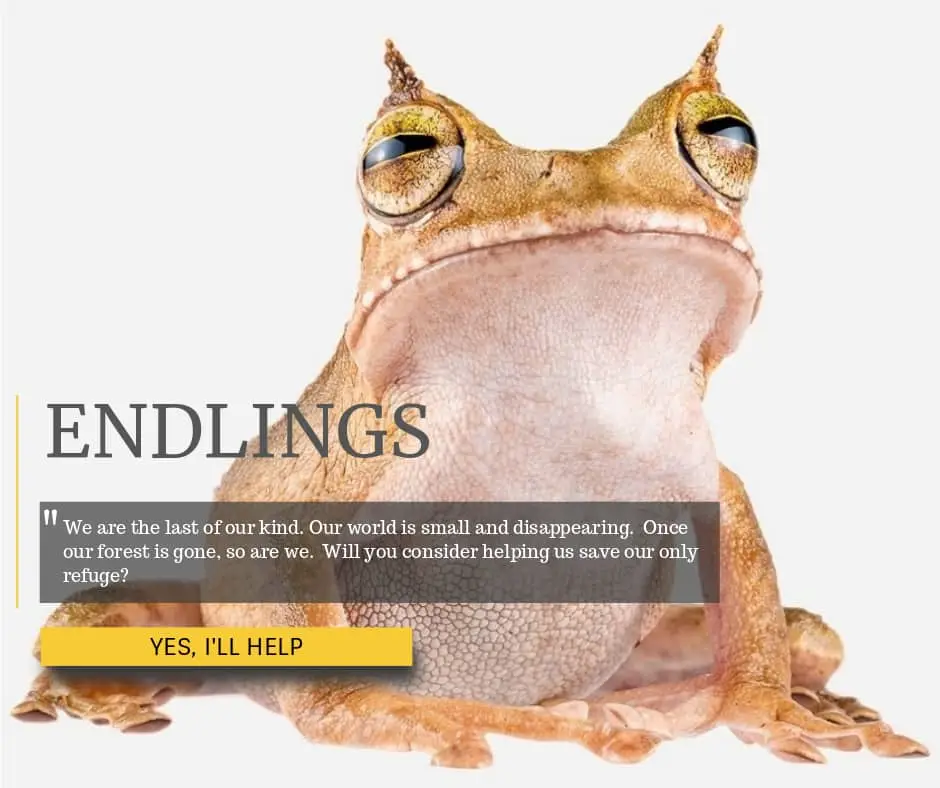 Endlings - Frogs