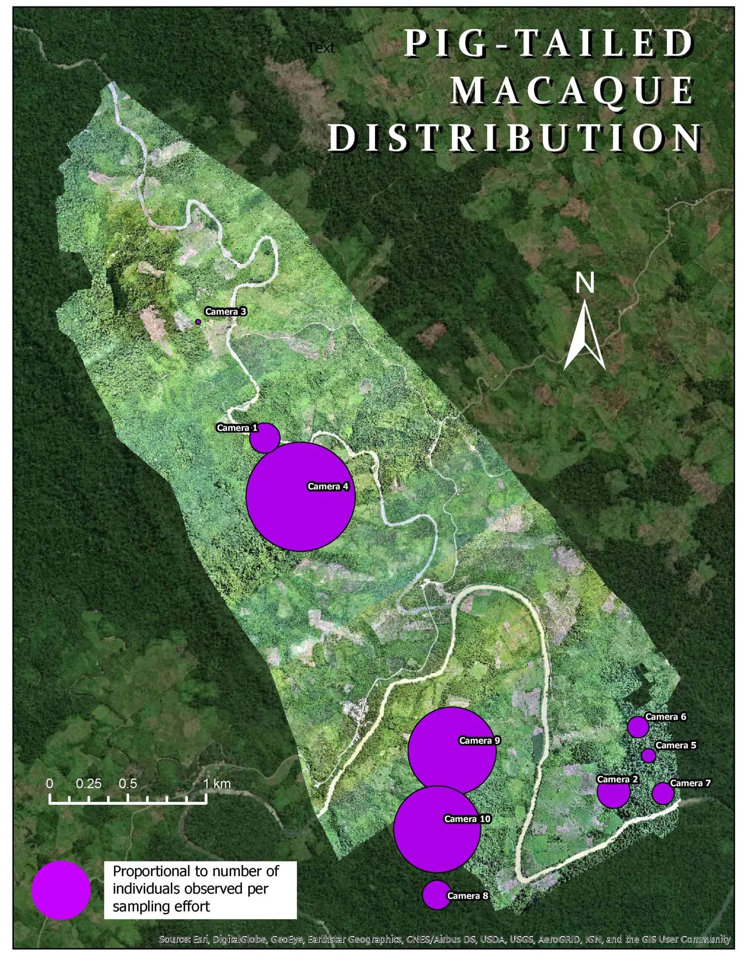 Saving Nature Map of Pig-Tailed Macaque Distribution in Sumatra