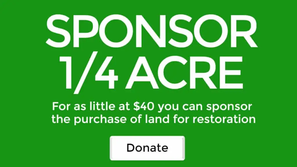 Sponsor 1/4 acre