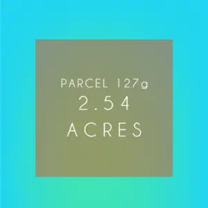 Sponsor a Rainforest Parcel 127g