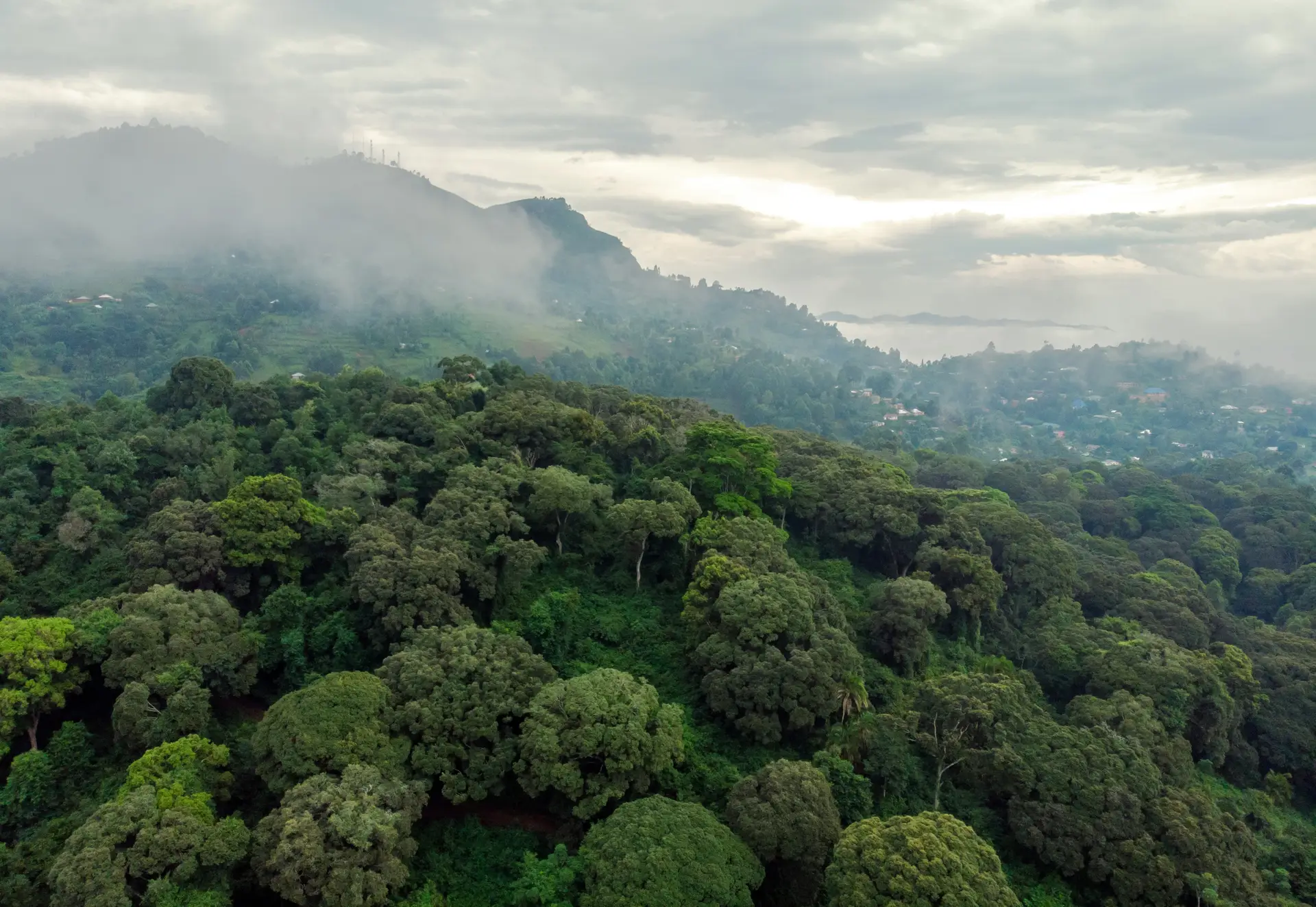 Drone View of Usambara Mountains