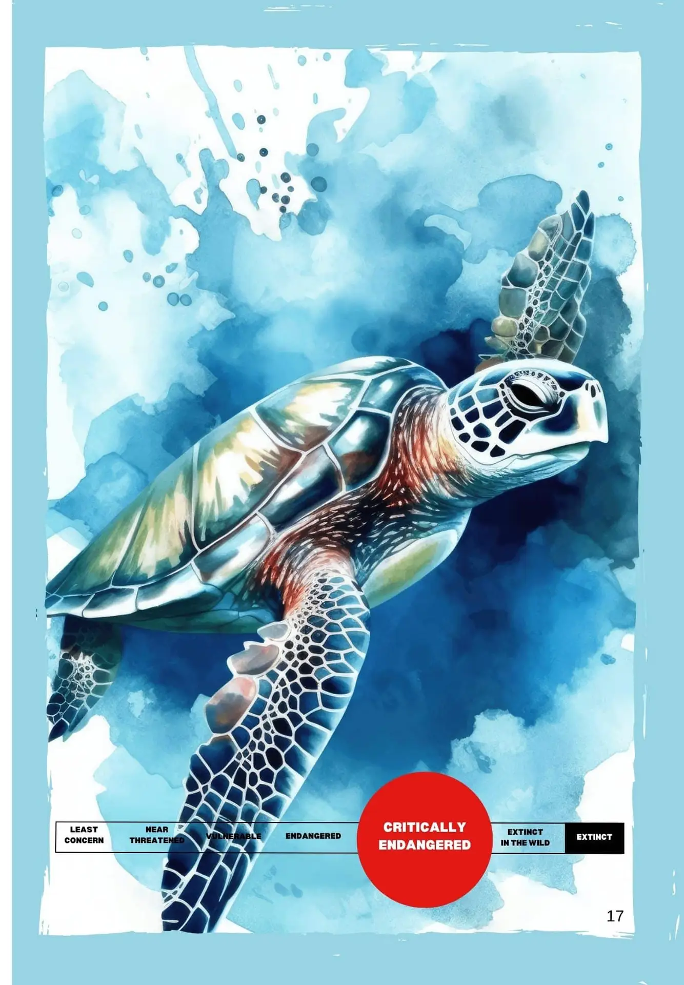 Hawksbill_Turtle