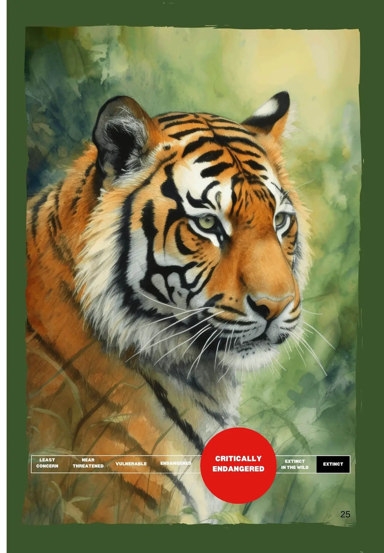 Sumatran_Tiger