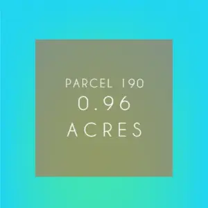 Sponsor a Rainforest Parcel 190