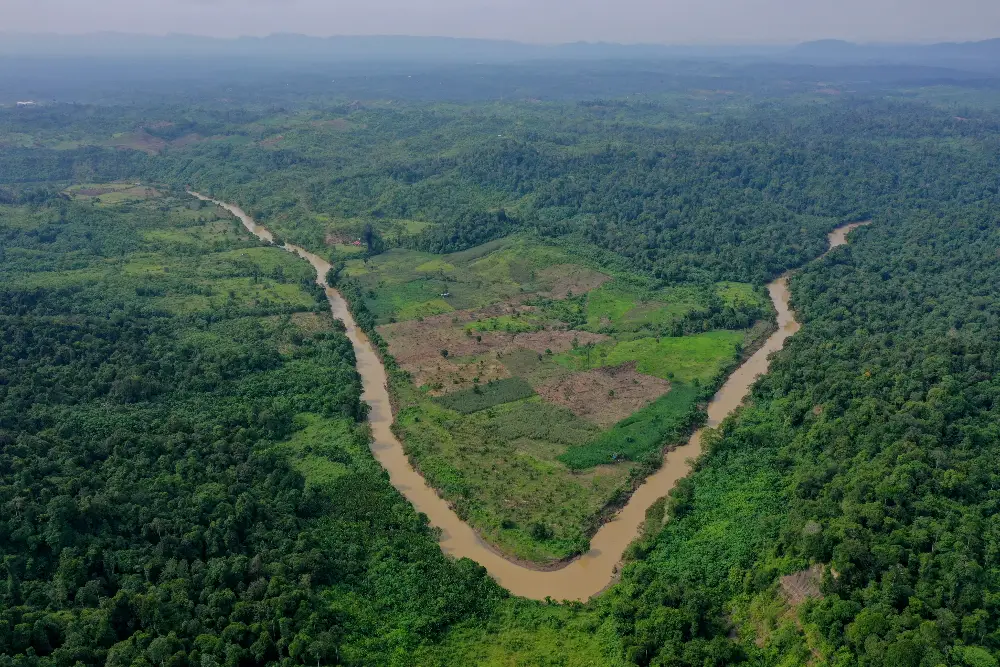 Elephant Corridor