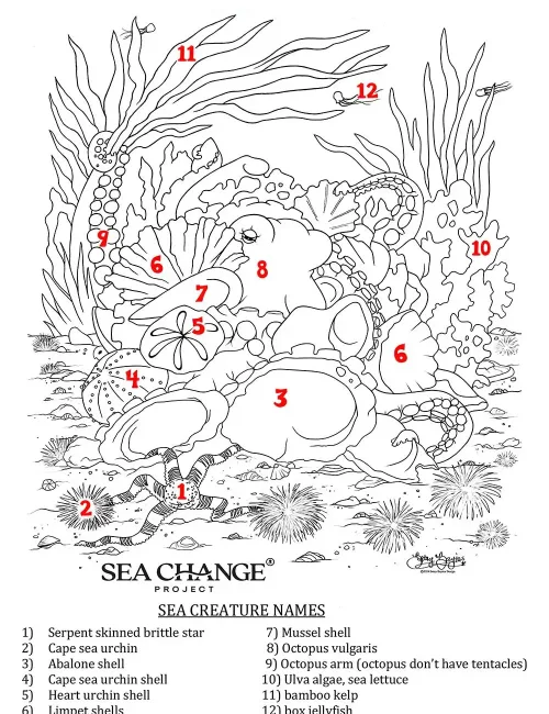 Octopus Puzzle Science Page
