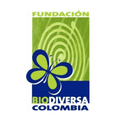 Fundación Biodiversa Colombia, Saving Nature's Local Conservation Partner in Colomiba