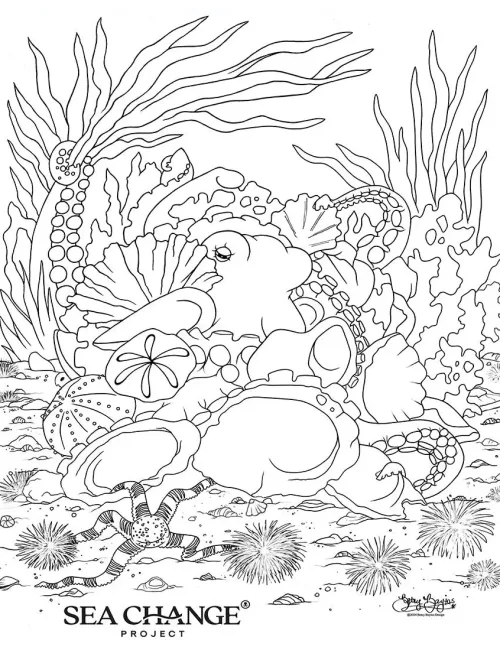 coloring book